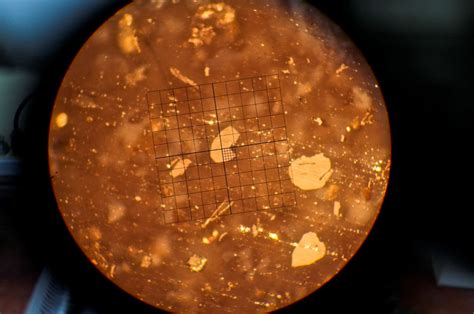 Kerogen Microscopy & Vitrinite Reflectance | Stratochem Services