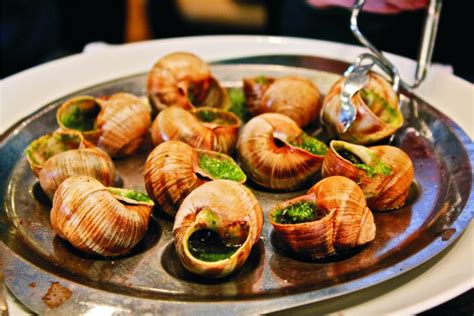 Edible Snails: Where to Buy, How to Grow and Cook These Dishes