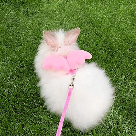 FunPetLife Rabbit Harness and Leash- Adjustable Angel Wing Style Bunny Harness and Leash, Pet ...