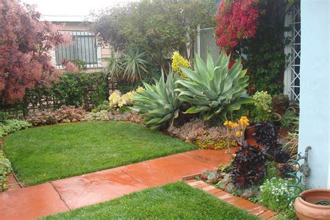 succulent front garden - Google Search | Succulents | Pinterest | Front yards, Yards and ...