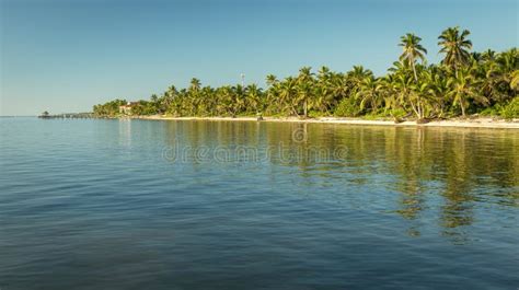 Caribbean Beach Belize stock photo. Image of background - 117741150