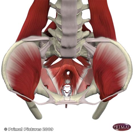 Abdominal Injury Symptoms