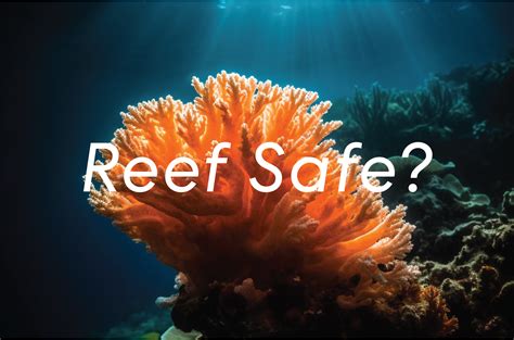 Actually, What is Reef Safe Sunscreen? – Koa