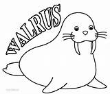 Printable Walrus Coloring Pages For Kids sketch template