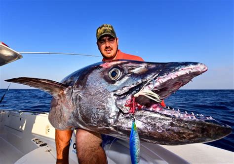 Michael Bonnici lands enormous 101kg dogtooth tuna - Fishing World