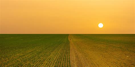 Can we engineer crops to withstand climate change? | Stanford ...