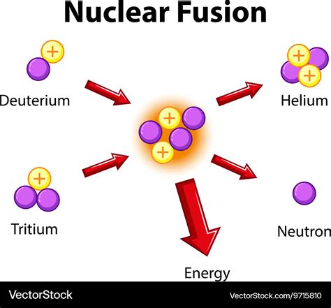 Diagram showing nuclear fusion Royalty Free Vector Image