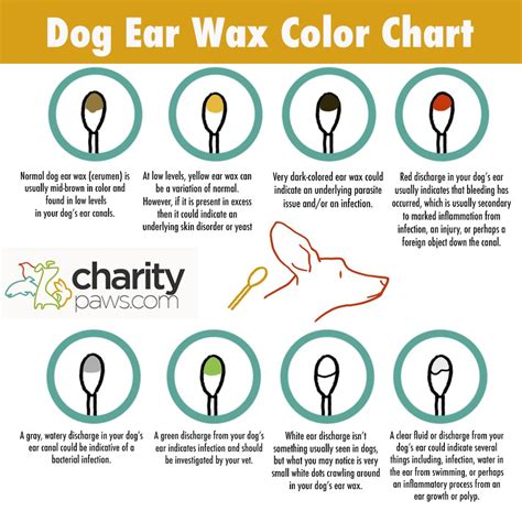 Dog Ear Wax Color Chart | Find Out What Each Color Means