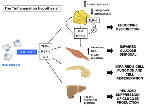 figure1 - Endotext