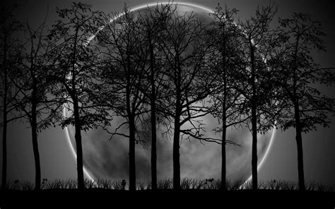 download dark forest wallpaper 2560x1600 for 4k monitor | Beautiful moon, Red moon, Nature