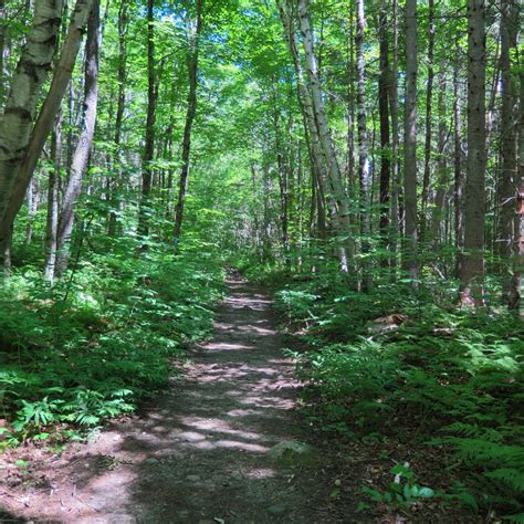 Pictures: Mt Killington - Protean Wanderer