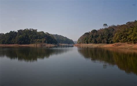 Periyar Reserve Forest, Thekkady Kerala Stock Photo - Image of periyar ...