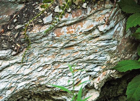 Metcalf Phyllite (Neoproterozoic; Laurel Creek Road outcro… | Flickr