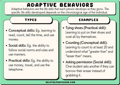 18 Adaptive Behavior Examples (2024)