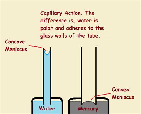 capillary action | Action, Adhesive, Force