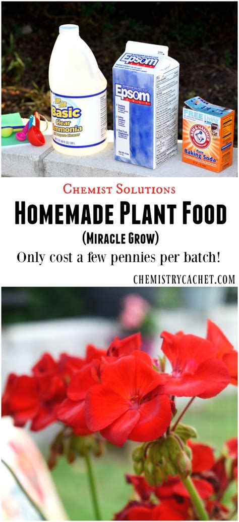 Chemist Solutions: Easy Homemade Plant Food Recipe