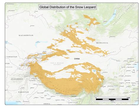 THE SNOW LEOPARD’S RANGE – Snow Leopard Conservancy