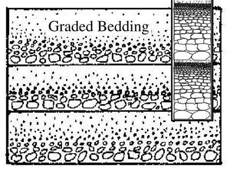 PPT - Sedimentary Rocks PowerPoint Presentation, free download - ID:2147181