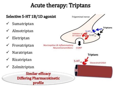 Talkin' bout Triptans. A casual discussion of the use of triptans in ...