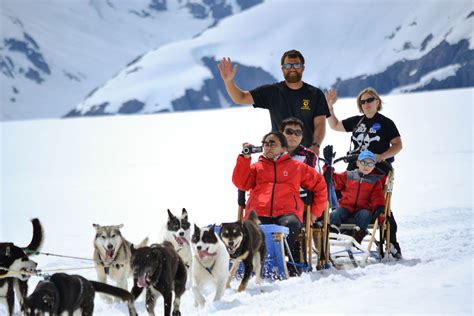 Glacier Dog Sledding Photo Gallery | Alaska Icefield Expeditions - Glacier Dog Sledding in ...