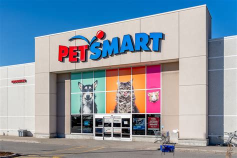 Does PetSmart Take Cats? - Rehome by Adopt-a-Pet.com