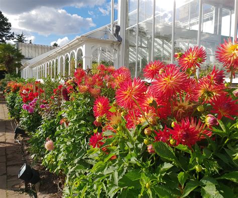 The Birmingham Botanical Gardens and Glasshouses - Historic and Botanic ...