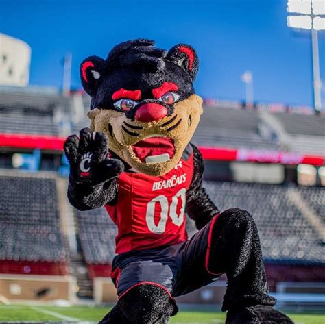 The Bearcat | Mascot Hall of Fame