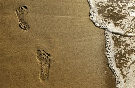 The Magic of Footprints in Wet Sand - WSJ