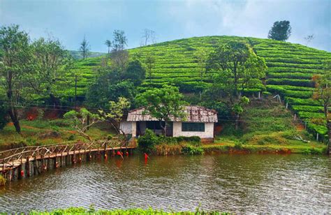 Top 20 Hill Stations in Kerala That You Must Visit in 2024