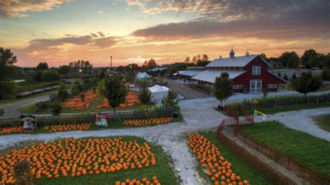 Top 9 Pumpkin Patches in Chicago to Go Out and Have Fun