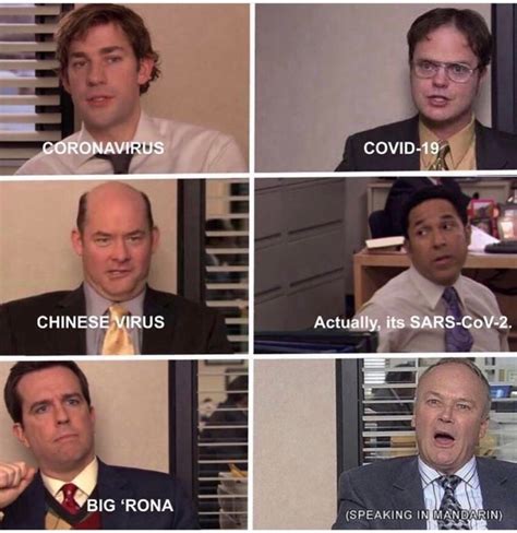 100+ Best ‘The Office’ Memes: The Funniest Dunder Mifflin Collection – FandomSpot