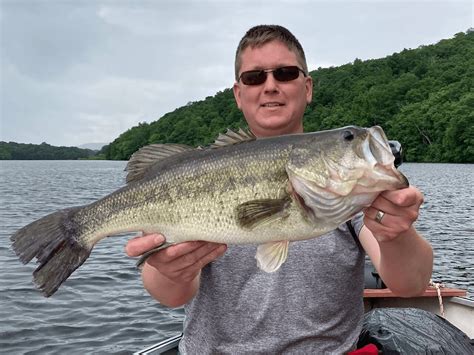 Largemouth Bass: Identification, Behavior Basics, and Best Lures and ...