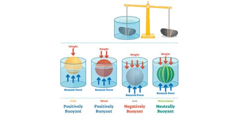 Nature's Powers: Exploring Fundamental Forces Quiz - Trivia & Questions