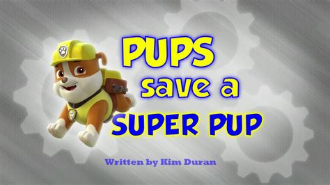 Pups Save a Super Pup | Paw patrol party, Paw patrol birthday party, Pup