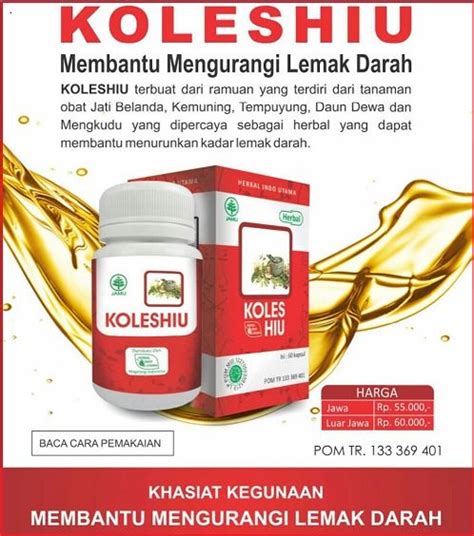 obat herbal kolesterol alami dari tanaman obat – Apotik Herbal