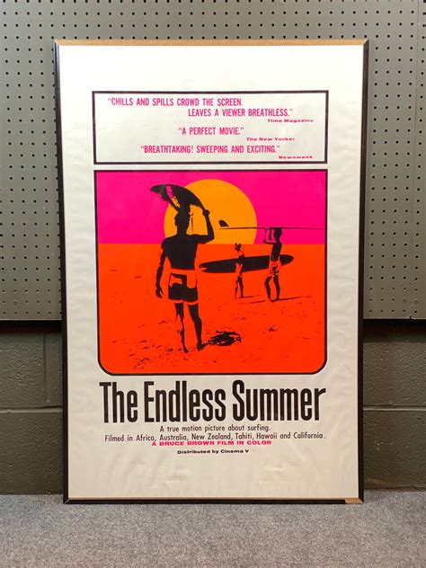 Original endless Summer Movie Poster Screen Print | Etsy