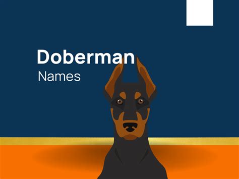 1265+ Doberman Names For Fearless and Regal Companion! (+Generator)