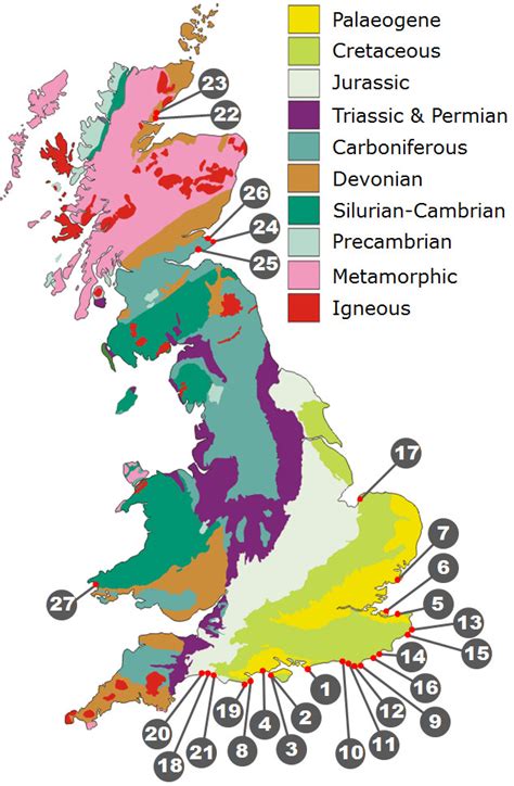 Fossil Hunting Locations | Discovering Fossils