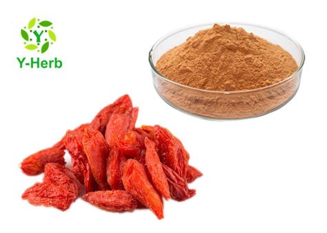 Pure Goji Juice Concentrate Powder Wolfberry Berry Lycium Barbarum Berry Extract