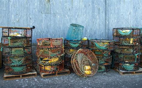 Local watermen plan to fish out thousands of lost crab pots from Chesapeake Bay