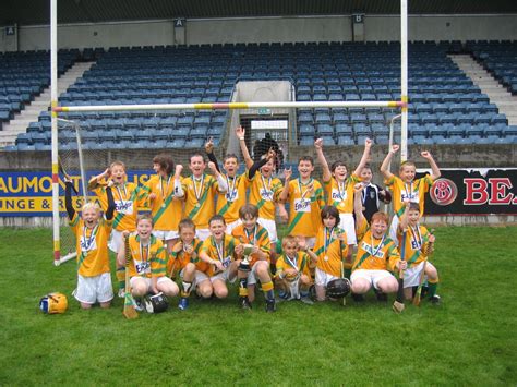 Faughs GAA Club » Faughs Success at Templeogue College Awards