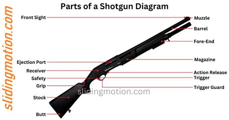 Guide for 16 Key Parts of a Shotgun: Names Functions & Diagram