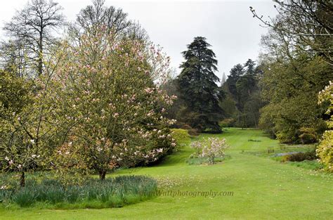 Batsford Arboretum - brooklandsplants