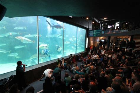 Two Oceans Aquarium - Cape Town, South Africa