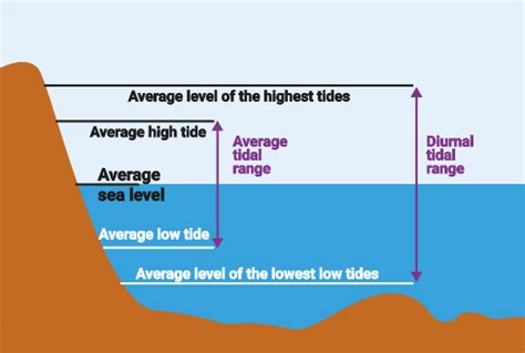 Types of tides