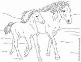coloring Horse Pictures sketch template