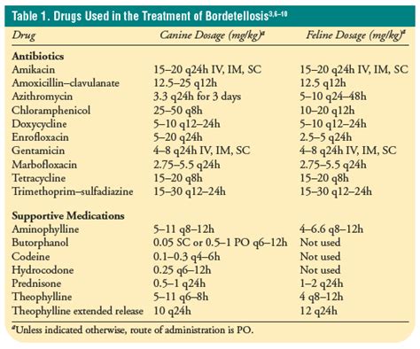 How Much Amoxicillin Can You Give A Dog