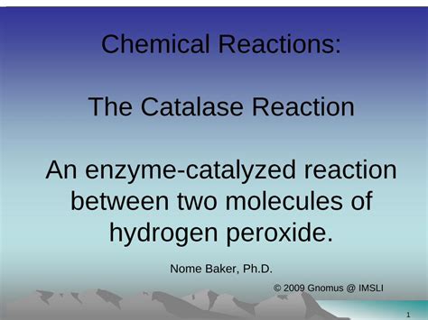 (PDF) Chemical Reactions: The Catalase Reaction - DOKUMEN.TIPS