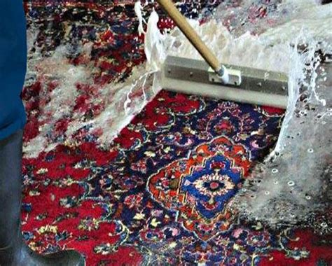 Rug Steam Cleaning: Its Importance And Other Things