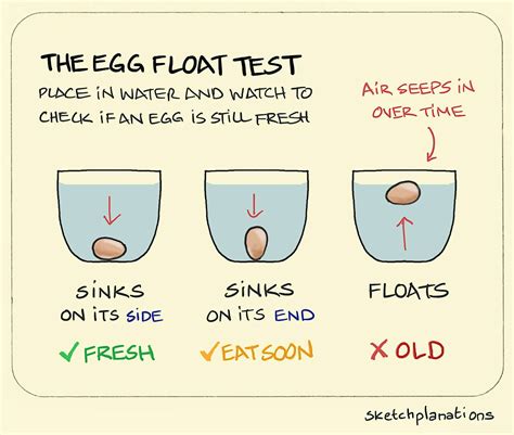 The Egg Float Test - Sketchplanations